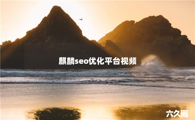 麒麟seo优化平台视频