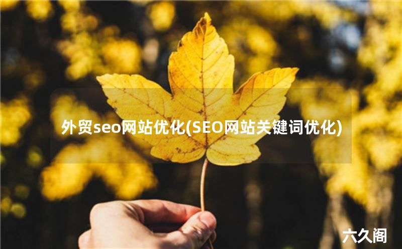 外贸seo网站优化(SEO网站关键词优化)