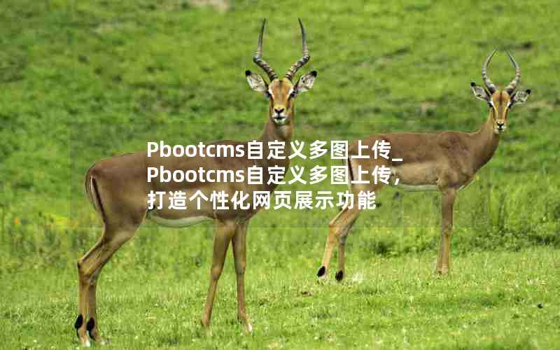 PbootcmsԶͼϴ_PbootcmsԶͼϴԻҳչʾ