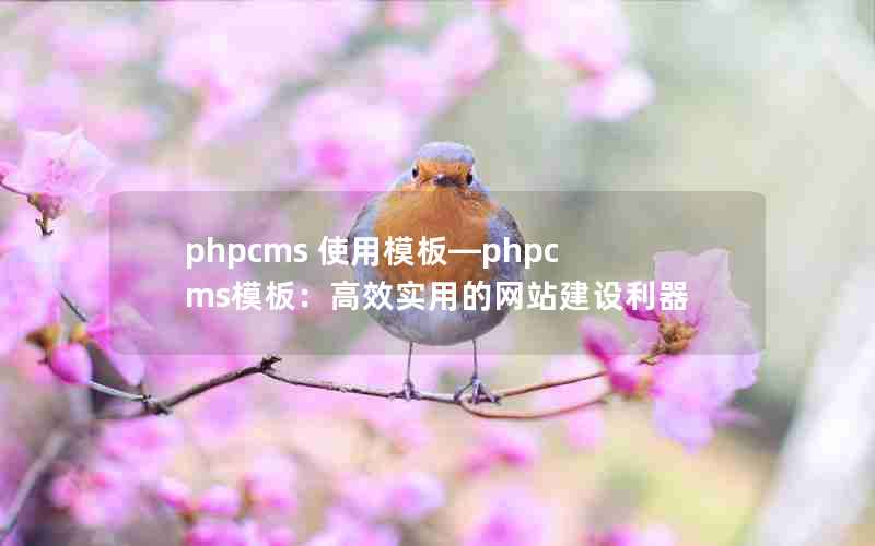 phpcms ʹģ塪phpcmsģ壺Чʵõվ