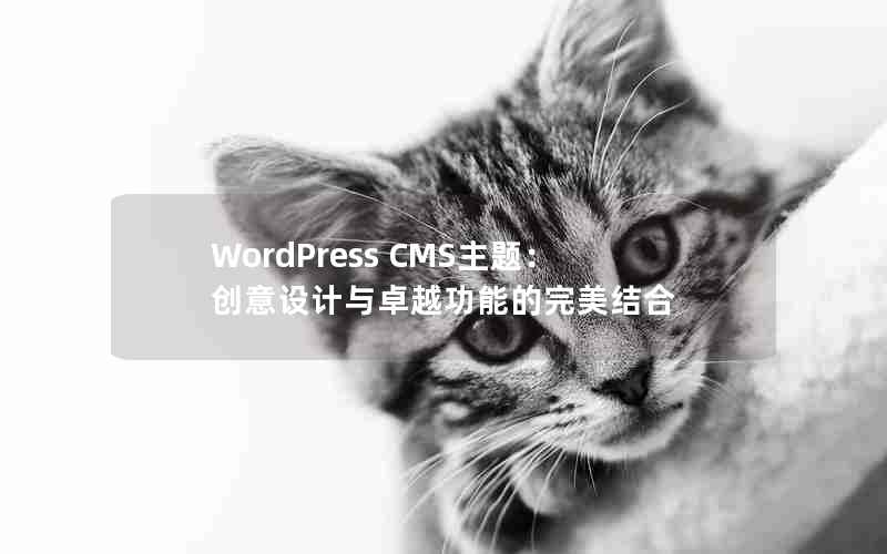 WordPress CMS⣺׿Խܵ
