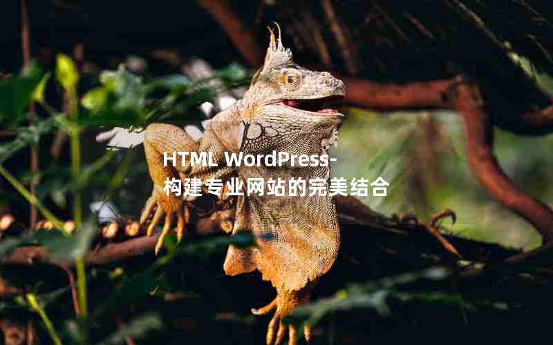 HTML WordPress- רҵվ