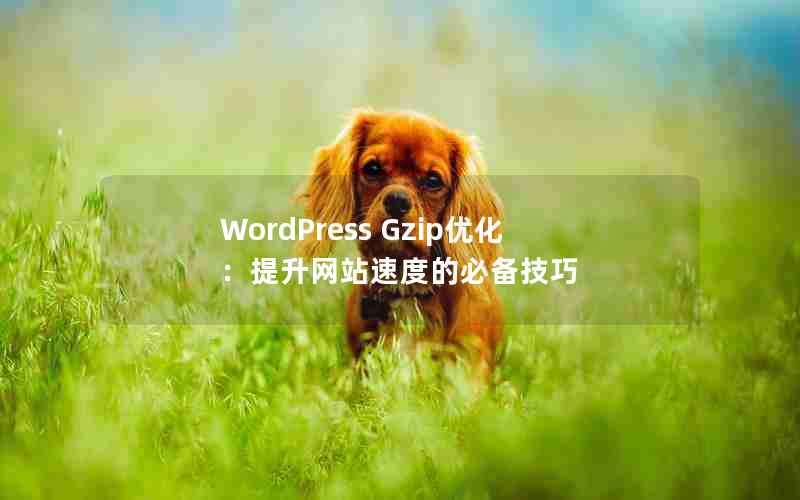 WordPress GzipŻվٶȵıر