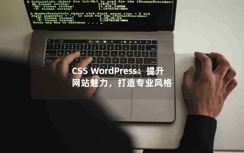 CSS WordPressվרҵ