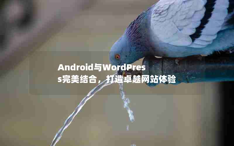 AndroidWordPressϣ׿Խվ