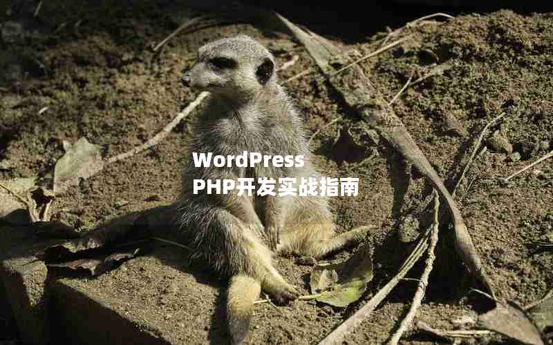 WordPress PHPʵսָ
