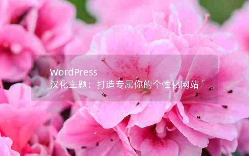 WordPress ⣺רĸԻվ