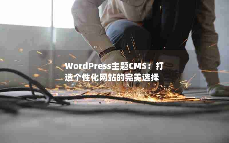 WordPressCMSԻվѡ