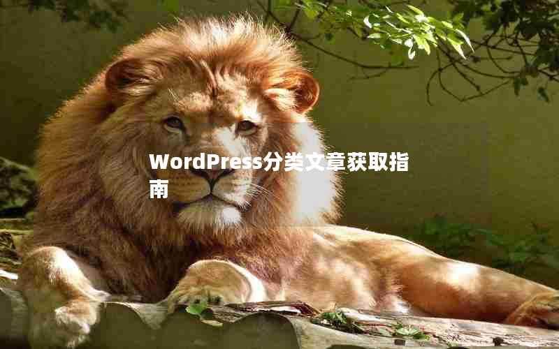 WordPress»ȡָ