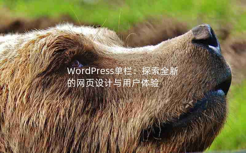 WordPress̽ȫµҳû