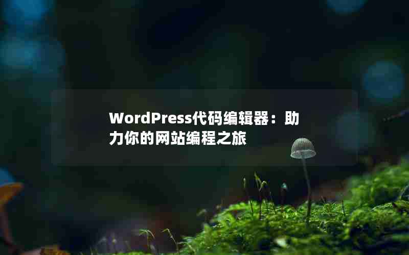 WordPress༭վ֮