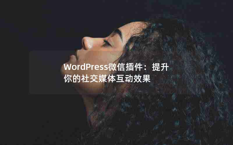 WordPress΢Ų罻ý廥Ч