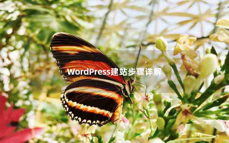 WordPressվ