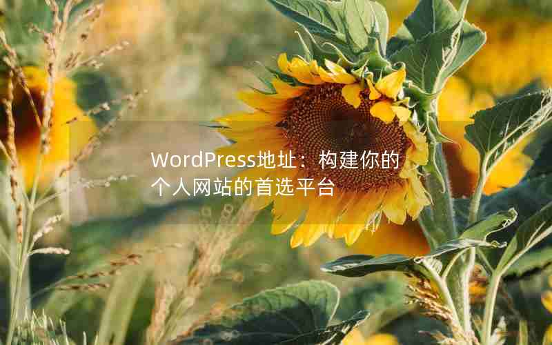 WordPressַĸվѡƽ̨