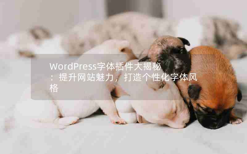 WordPressأվԻ