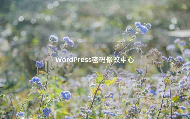 WordPress޸