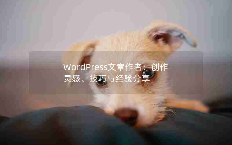 WordPressߣС뾭