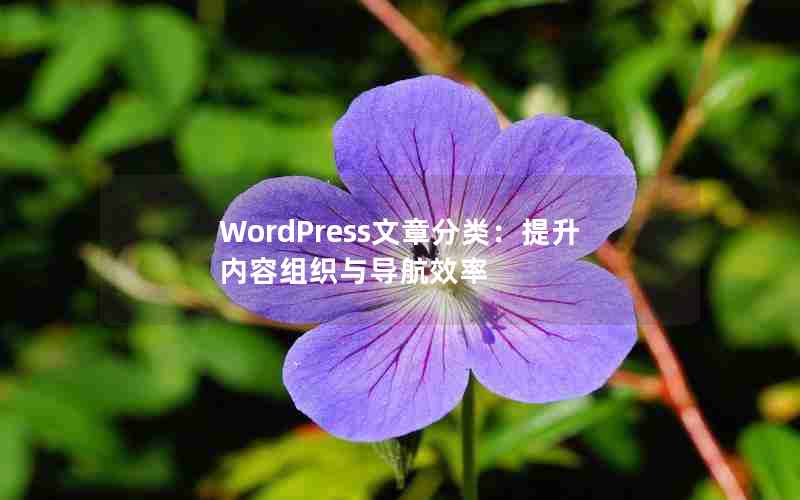 WordPress·ࣺ֯뵼Ч