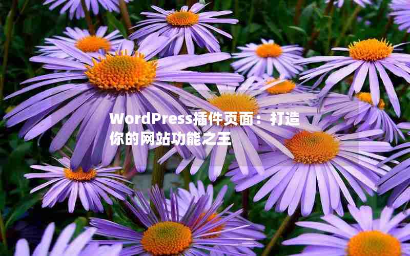 WordPressҳ棺վ֮