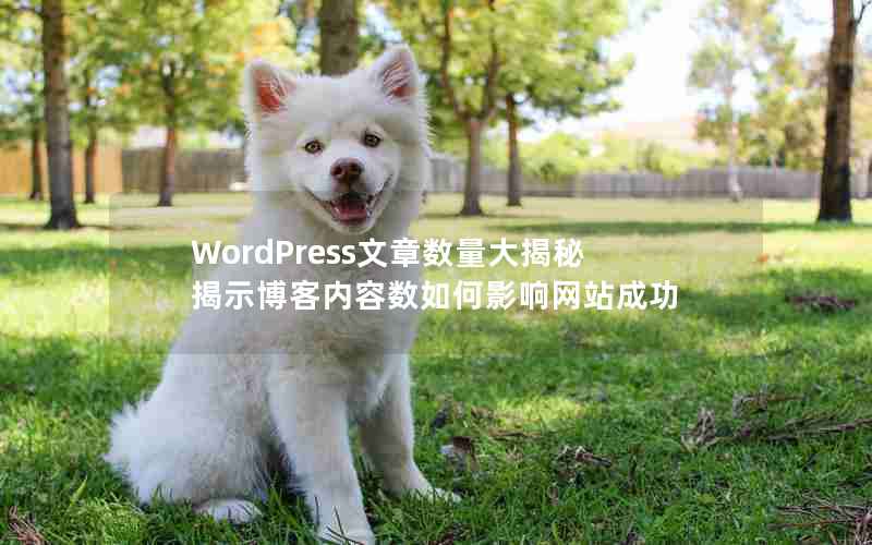 WordPressؽʾӰվɹ