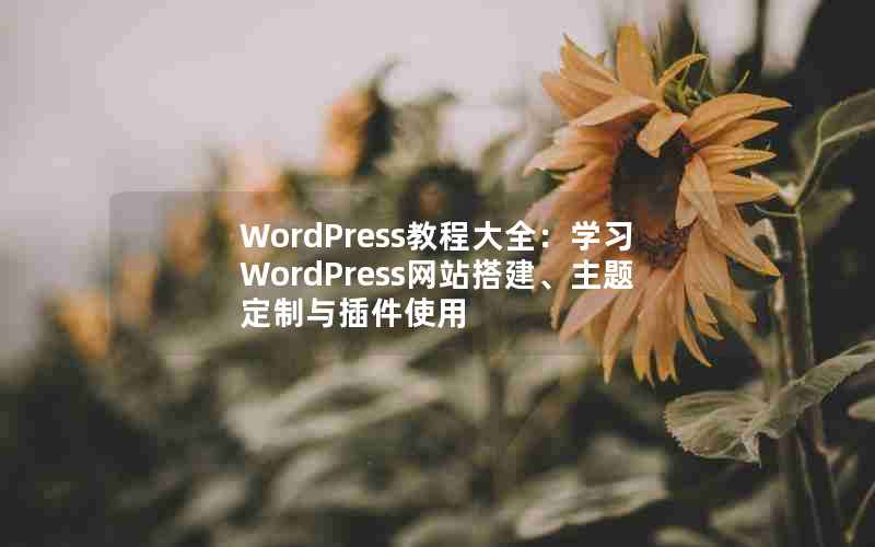 WordPress̴̳ȫѧϰWordPressվⶨʹ