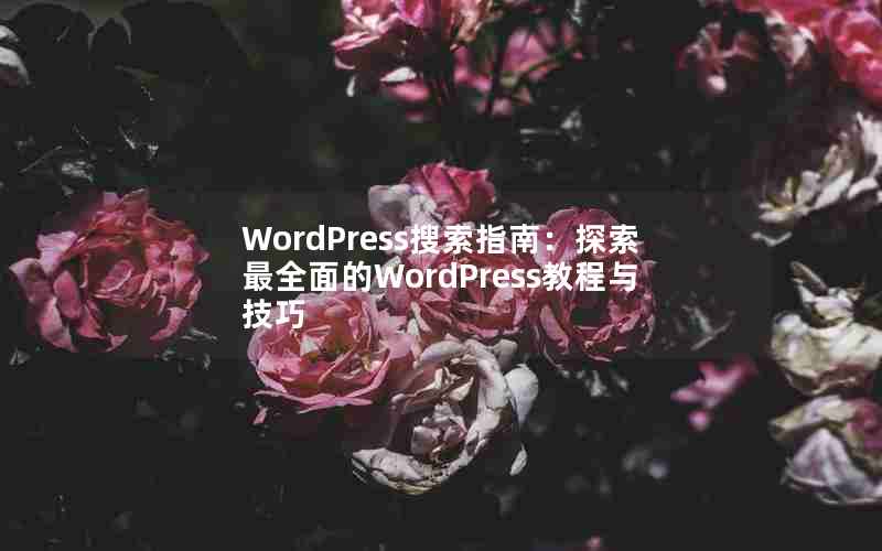 WordPressָϣ̽ȫWordPress̳뼼