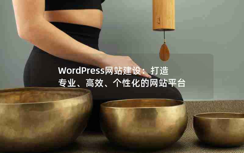 WordPressվ裺רҵЧԻվƽ̨