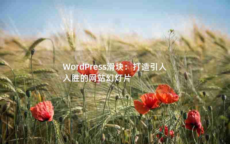 WordPress飺ʤվõƬ
