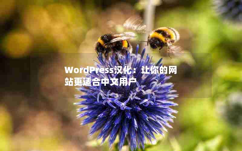 WordPressվʺû