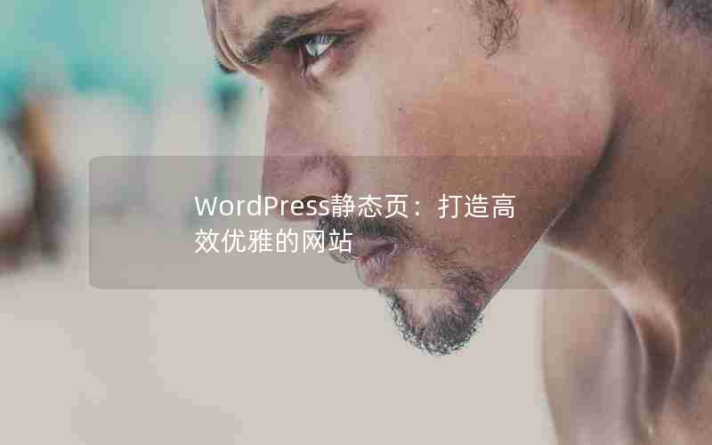 WordPress̬ҳЧŵվ