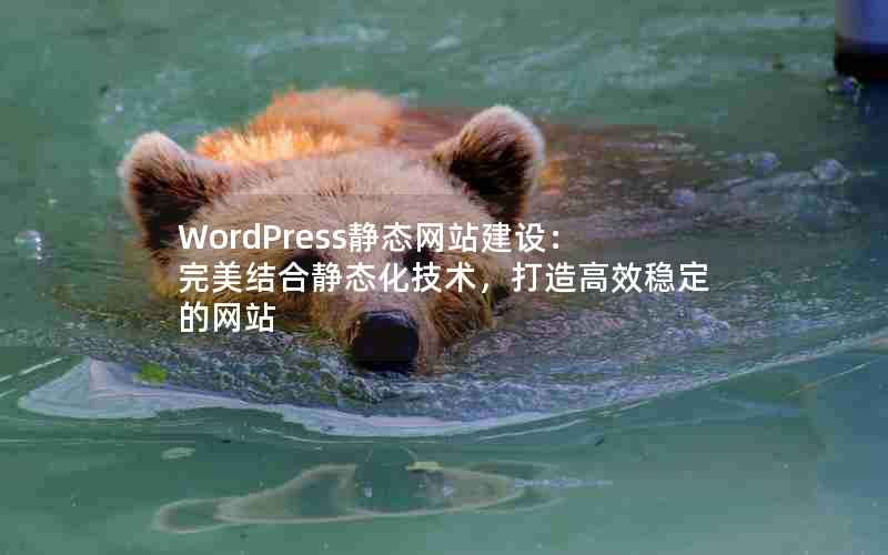 WordPress̬վ裺Ͼ̬Чȶվ