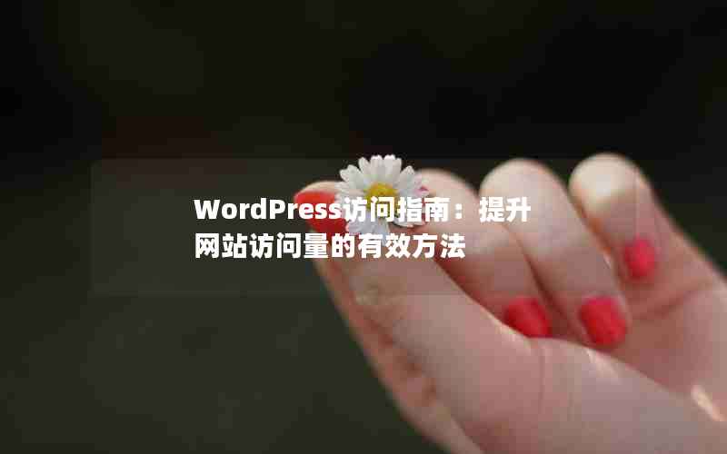 WordPressָϣվЧ