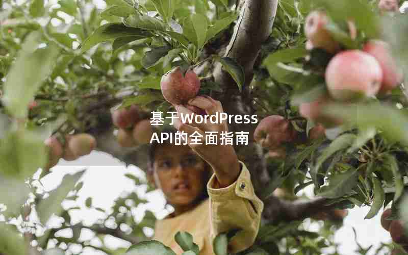 WordPress APIȫָ