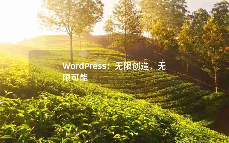 WordPress޴죬޿