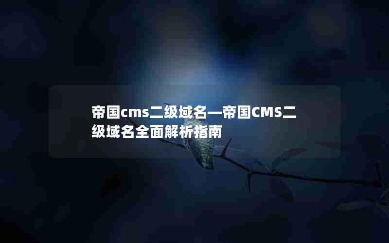 帝国cms二级域名―帝国CMS二级域名全面解析指南