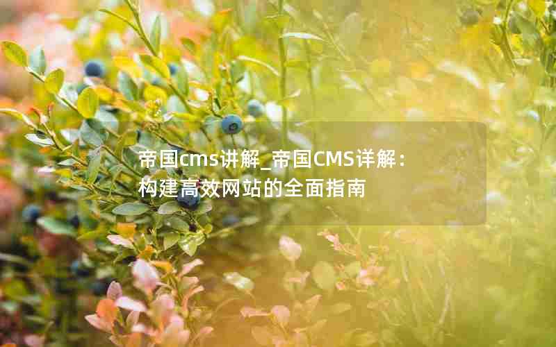 帝国cms讲解_帝国CMS详解：构建高效网站的全面指南