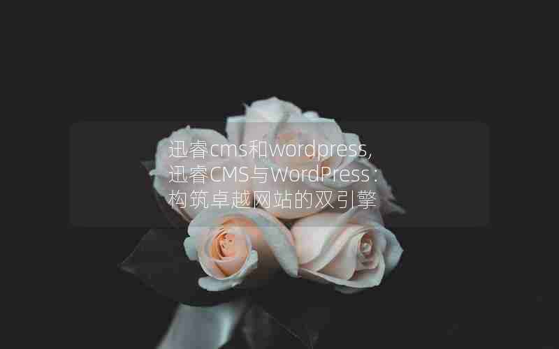 Ѹcmswordpress,ѸCMSWordPress׿Խվ˫