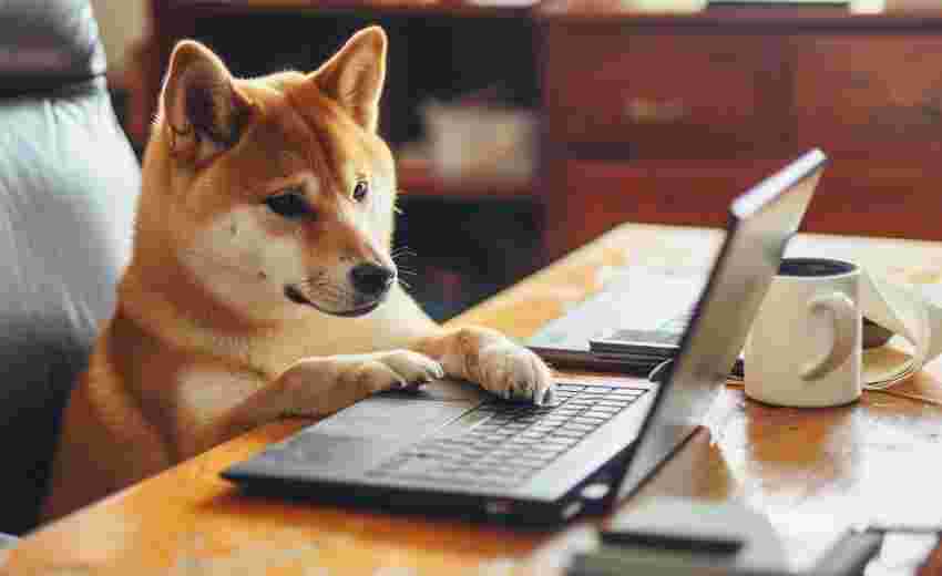 如何解决Discuz分类信息页面加载速度慢的问题