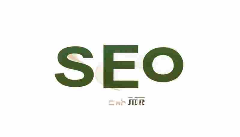 SEO优化师如何关注搜索引擎算法的动态变化？