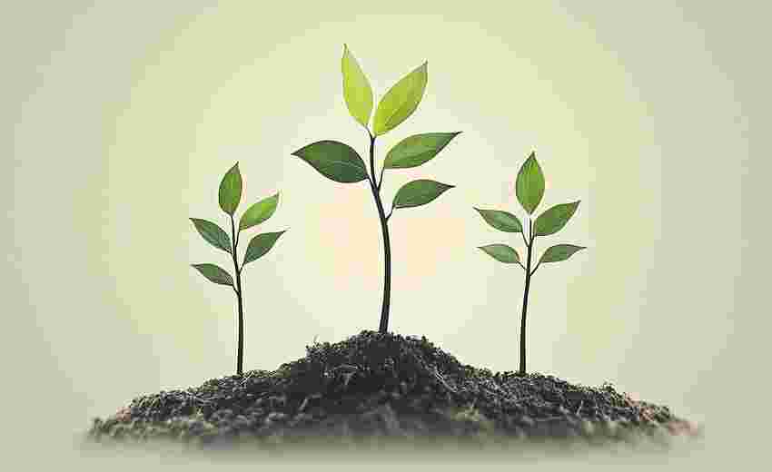 帝国CMS子栏目生成静态页面对网站速度有何优化作用