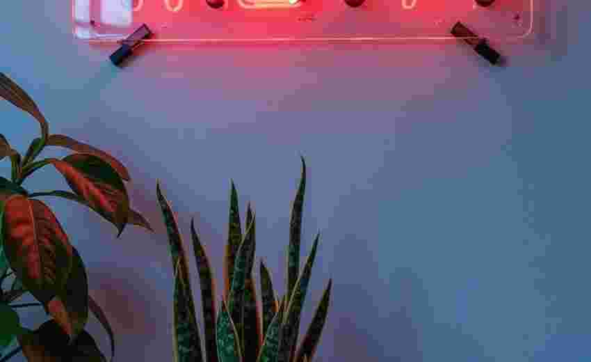 SEO中如何通过PHP动态设置网页的Meta描述内容 SEO中如何通过PHP动态设置网页的Meta描述内容