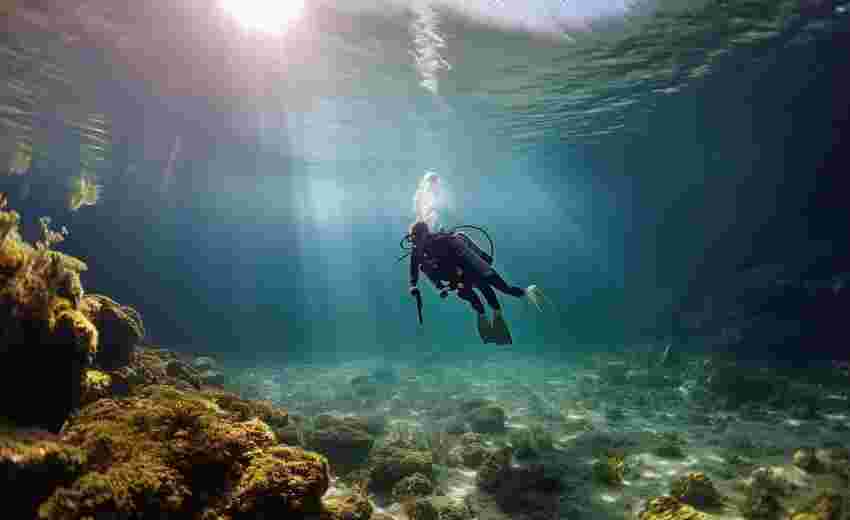 分表策略对网站SEO排名有哪些潜在影响