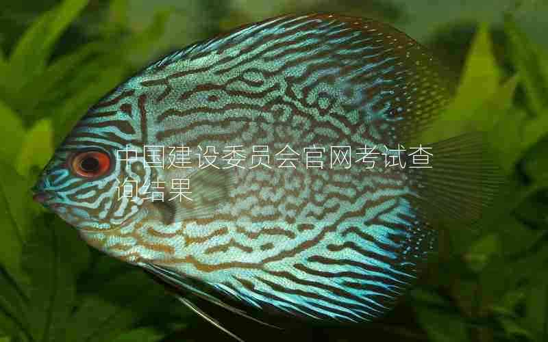中国建设委员会官网考试查询结果