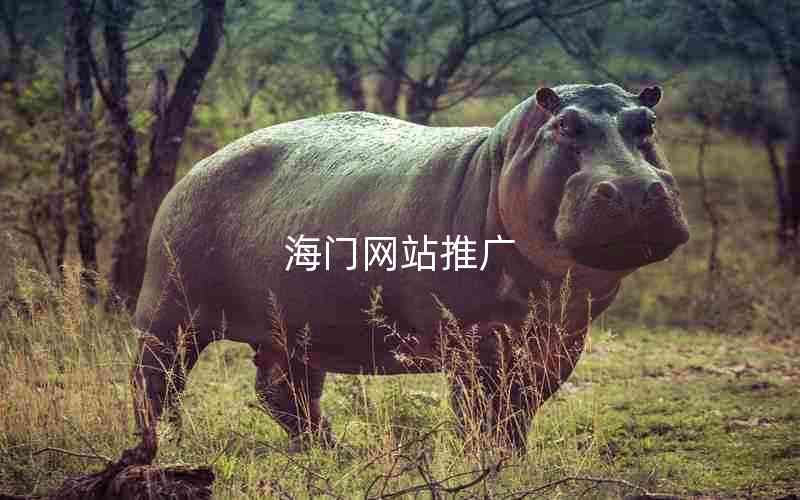 海门网站推广