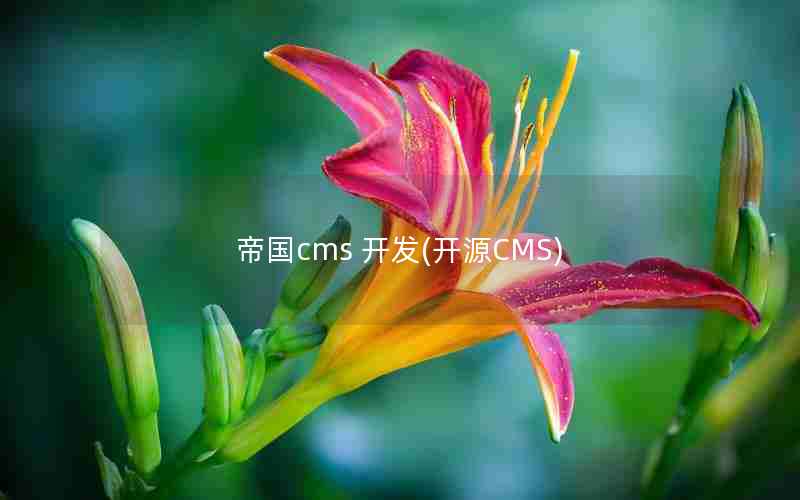 ۹cms (ԴCMS)