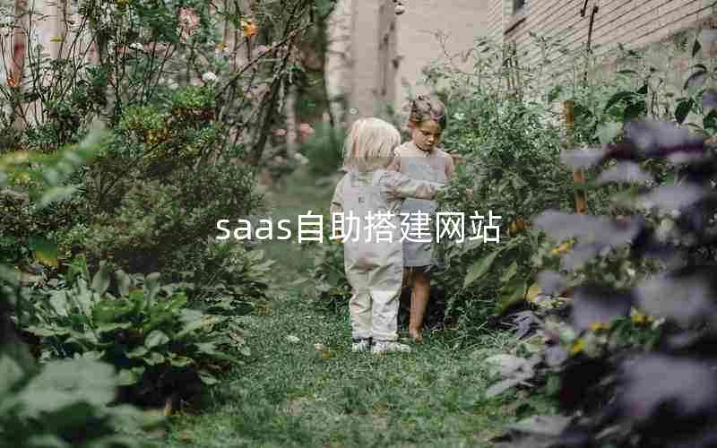 saasվsaasƽ̨˼·