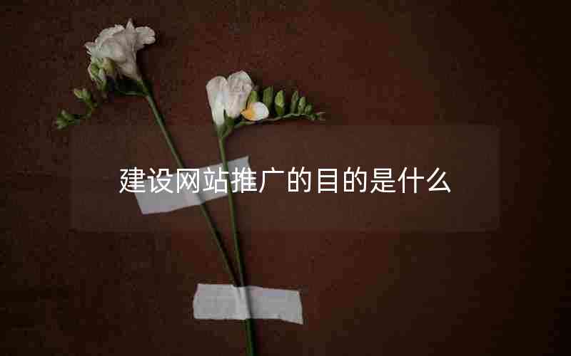 建设网站推广的目的是什么