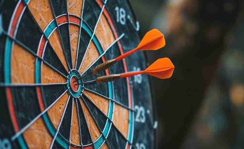 SEO行业案例解析:如何通过目标受众细分实现精准引流 SEO行业案例解析:如何通过目标受众细分实现精准引流