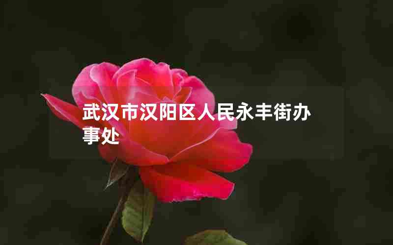 武汉市汉阳区人民永丰街办事处