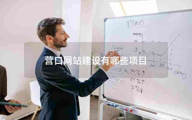 营口网站建设有哪些项目